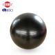 EU Standard Anti Burst Exercise Ball Bear 1000lb Weight Soft PVC Material