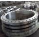 DN250 Class300 Forged Stainless Steel Weld Neck Flange For Petroleum