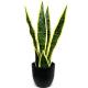 Height 100cm Artificial Potted Floor Plants Agave For Hotel Decor