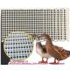 Plastic Poultry Floors 500*1200mm Chicken duck Floor poultry animal husbandry equipment