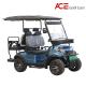 CE Certificate Electric Golf Scooter 4 Seaters Lithium Battery Blue Color