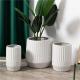Nordic style white modern home decoration stripe flower succulent pots indoor outdoor gardening ceramic planters