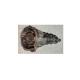 Gross Weight 70KGS 5AT 5R35 Automatic Transmission Gearbox for GWM Haval H5 2.0L Turbo 2.0T Diesel 2011 2012