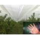 clear poly tarp polyethylene tarpaulin used for garden green house
