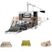 Rotary Egg Tray Making Machine OEM Paper Pulp Moulding Machine CE
