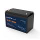LFP 12v 100ah Lifepo4 Lithium Battery 20a Rechargeable Personalized Customization