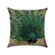 Cotton Linen peacock Throw Pillow Case Cushion Cover Home Sofa Decorative 18 X 18 Inch/45X45cm(Cover Only,No Insert)