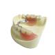 CE Dental Lab Products Replacements Plastic Removable Partial Dentures
