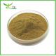 Natural African Mango Seed Extract Powder 10:1 Mango Seed Extract Weight Loss Raw Material