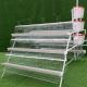 Automatic Large Capacity Layer Chicken Cage A Type High Corrosion