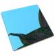 blue color coated 304 mirror stainless steel sheet