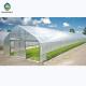 Galvanized Steel Single Span PE Film Greenhouses For Agriculture