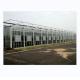 Large Agricultural Intelligent Holland Greenhouse Glass for Tomatoes Cucumber Lettuce