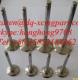 shangchai diesel engine spare parts intake valve and exhaust valve D04-110-33