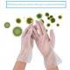 Transparent Disposable Protective Gloves PVC Antivirus Hand Protection Kitchen
