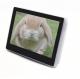 Q896S 7 inch Android 6.0 with RJ45 Inwall mount Touchscreen