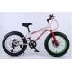 198cm Height Lightest 26 Inch Electric Fat Bike