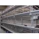 High Capacity Poultry Farm Cage System Broiler Chicken Cage  42 Kgs Weight
