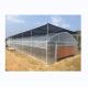 Small Single Span PE Plastic Film Greenhouse For Vegetable Agriculture 10-100m Length