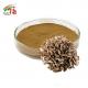 Grifola Frondosa Maitake Mushroom Extract Pharmaceutical Powder 30% Polysaccharides