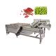 Leaf Lettuce Food Tray Washing Machine With Low Price