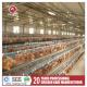 Layer Poultry Equipment A Frame Layer Cages SGS Approved