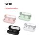 Master Slave Switching OEM TW10 True Wireless Stereo Earbuds