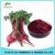 100% Water Soluble Natural Pigment Red Beet Juice Powder