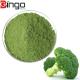 Hot Selling Organic vegetable powder supplement Broccoli Powder In Bulk