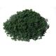 Tree powder for model tree are tree sponge ,tree foliage spongeT-1011