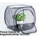 Agricultural Greenhouses for Tomato Planting,Pop-Up Tomato Plant Protector Serves as a Mini Greenhouse to Accelerate Gro