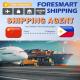 China To Philippines DDP Delivery Duty Paid Shipping