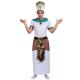 Customize Pharaoh Cosplay Set for Adults Party Performance Halloween Customized