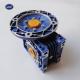 Planetary Gearing Arrangement Worm Gear Reducer