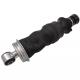 Front Axle Air Spring Suspension Shock Absorber Shaanqi Delong X3000 M3000 F3000 Truck