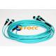 Aqua Multi Fibers 24 Cores MTP/MPO Fiber Breakout Cable Female to Female