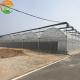LiTai Greenhouse Multi-Span Film Agriculture Greenhouse with Steel Frame Construction