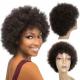 Raw Indian Human Hair Cuticle Aligned Pixie Cut Afro Curly Wigs GS Supplies 250g-450g
