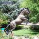 Large Size Bronze Horse Statue Life Size For Garden Decoration