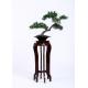 Ornamental Bonsai Pine Tree , Artificial Plants Bonsai Elegant Charming