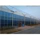 Wind Resistance Polycarbonate Solar Panel Greenhouse