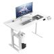 Electric Sit Standing Desk with Double Motors and Custom Mechanical Height Adjustment