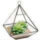 2016 new hanging clear glass prism air plant terrarium tabletop succulent plants holder