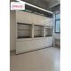 Activated Carbon Filter System Laboratory Fume Hood for Sale with Customized Features