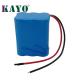 Beauty Instrument 5000mah 12v 18650 Battery Pack Rechargeable