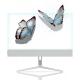 High Transparency Full Color OLED Transparent Display Panels for Indoor Advertising Retail Stores Subways Shopping Malls-OEM
