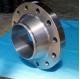 Customized Carbon Steel Flanges with L/C Payment Term and Metallurgy