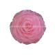 100% Real A Grade Preserved Long Lasting Rose Flower For Wedding Decoration
