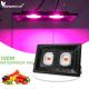AC 110V LED Cob Grow Lights Module For Hydroponic Outdoor Greenhouse