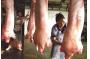 Increasing pork prices breed hopes, worries (2)